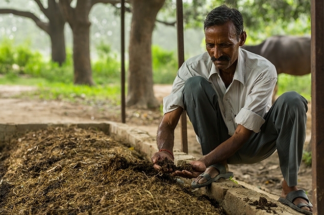 Dr Bronner's Magic Soaps Blog for World Fair Trade Day 2019 - Fair Trade Innovates