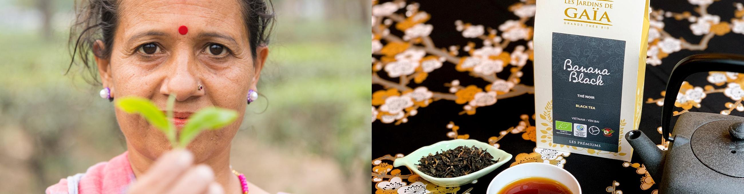 The big idea of Fair Trade is to challenge the purpose of business